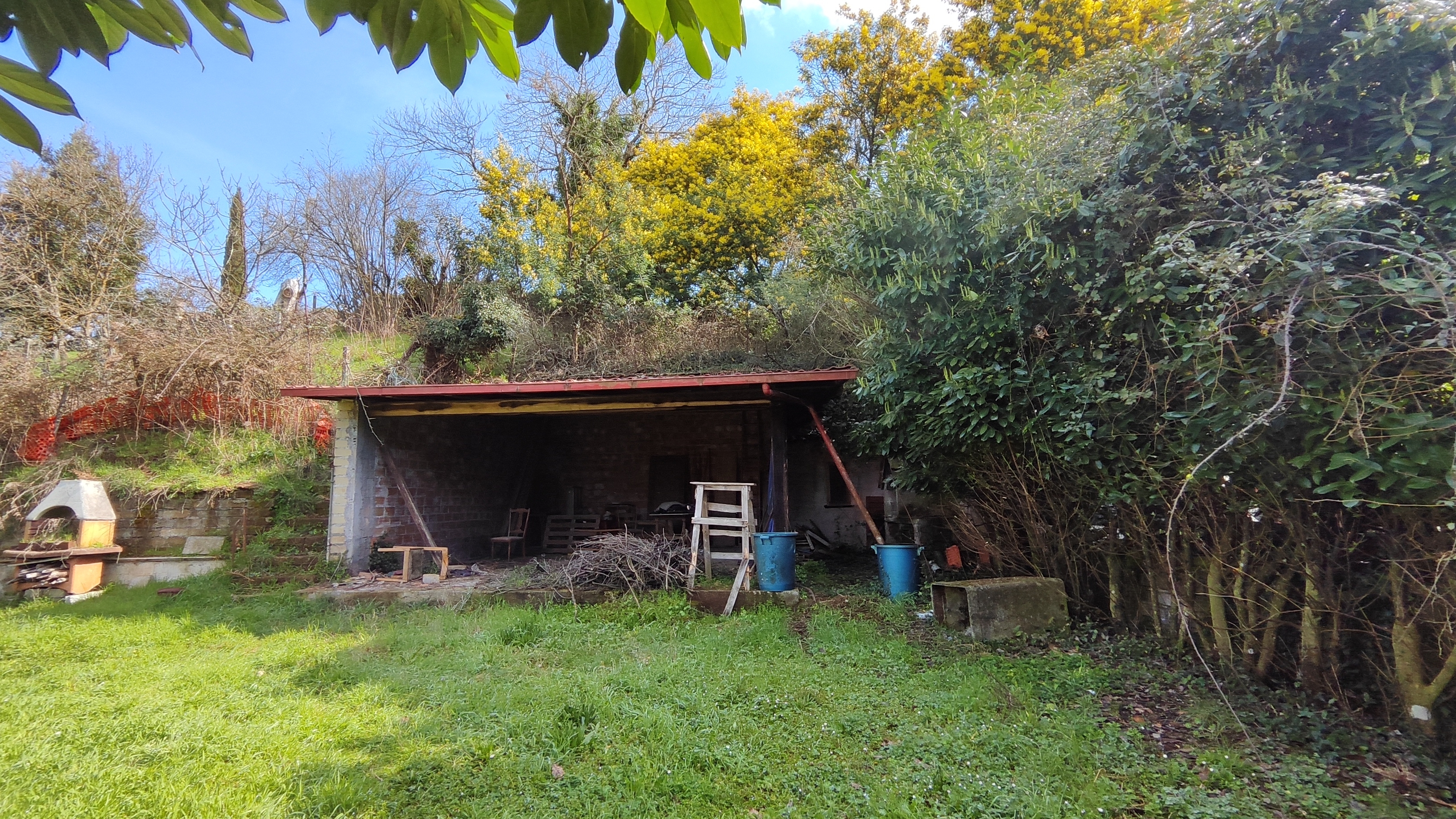 IMM0084 - Valmontone - Cave - Magazzino -  Patrizia  (6)