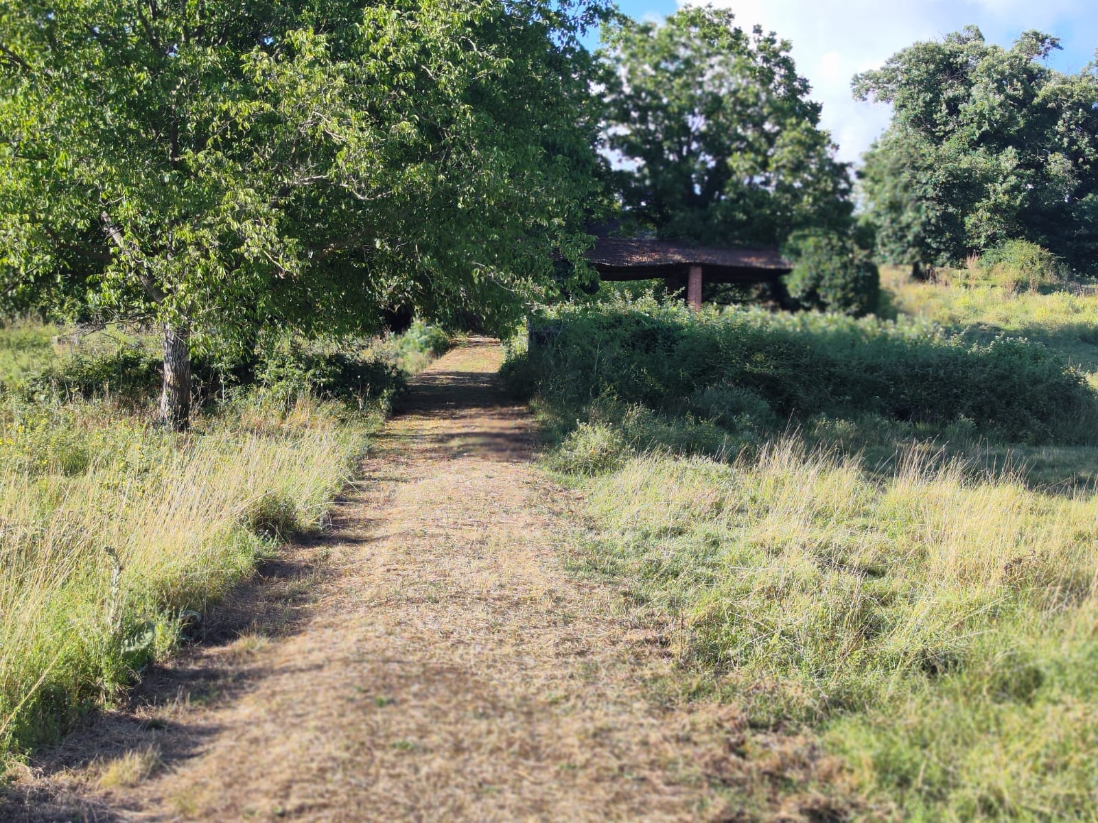IMM0085 - Valmontone - Casale - Pellegrini  (1)