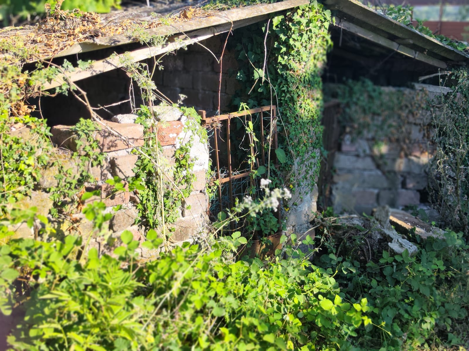 IMM0085 - Valmontone - Casale - Pellegrini  (12)