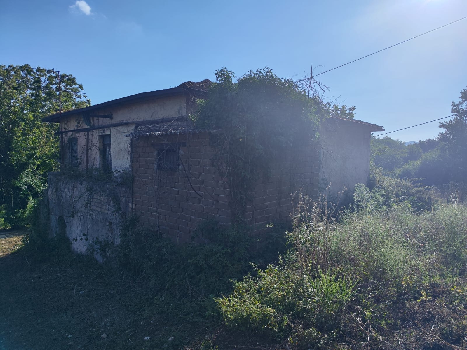 IMM0085 - Valmontone - Casale - Pellegrini  (14)