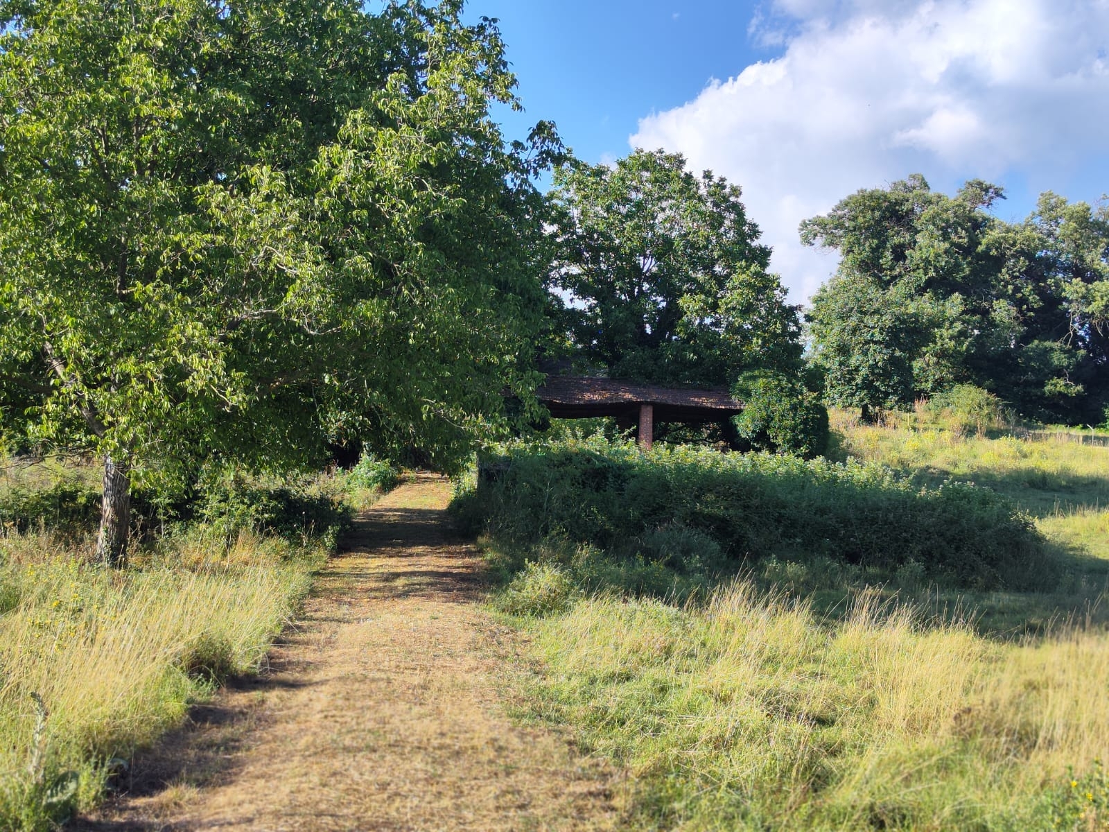 IMM0085 - Valmontone - Casale - Pellegrini  (2)
