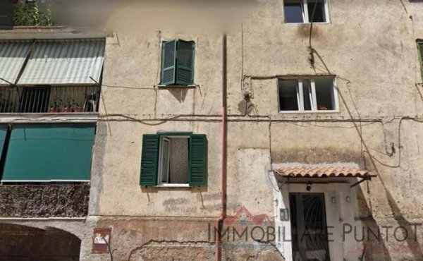 IMM0005
