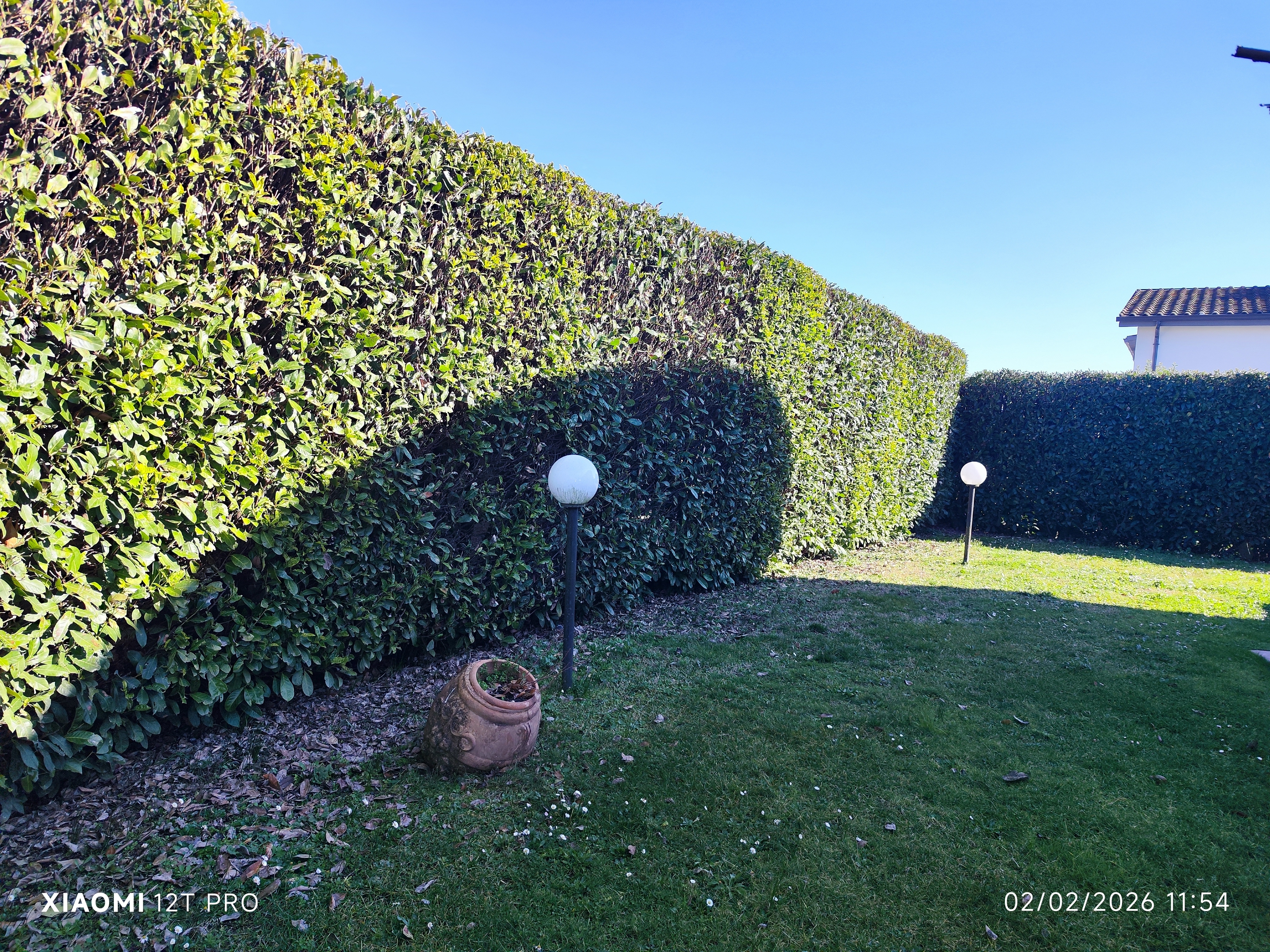 IMG_20260202_115408