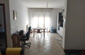 IMM0047  (5)